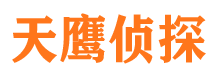 金川市调查公司